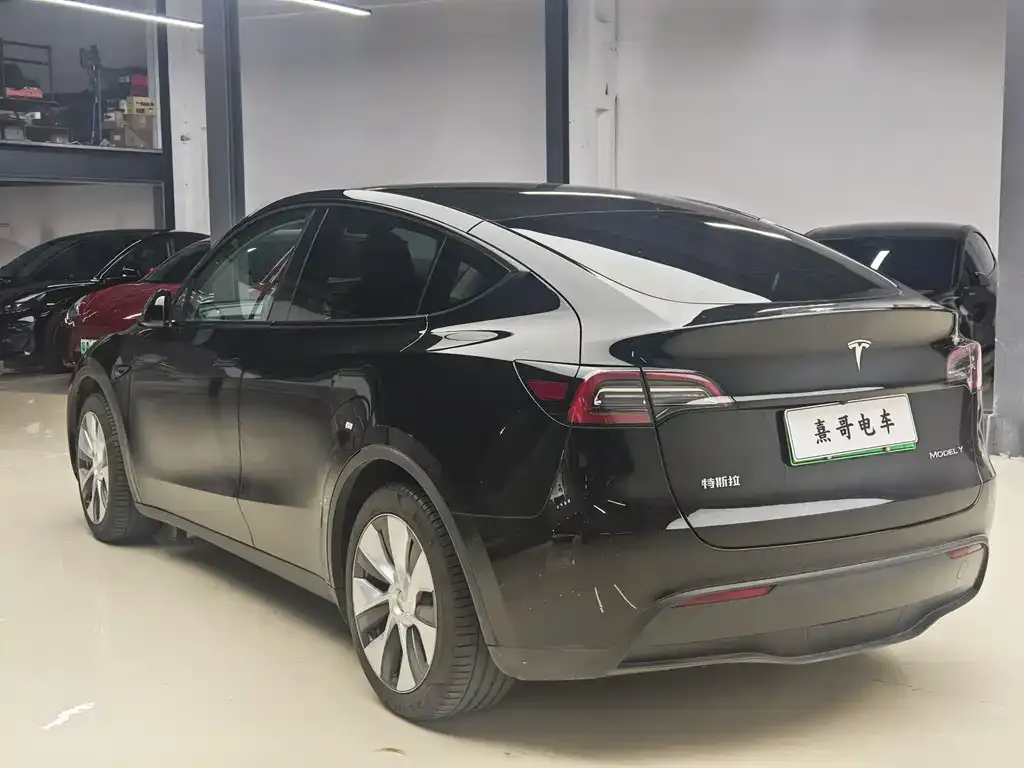 Tesla Model Y — фото 3
