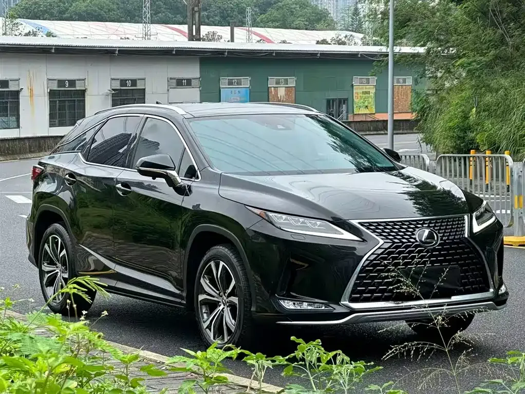 Lexus RX — фото 8