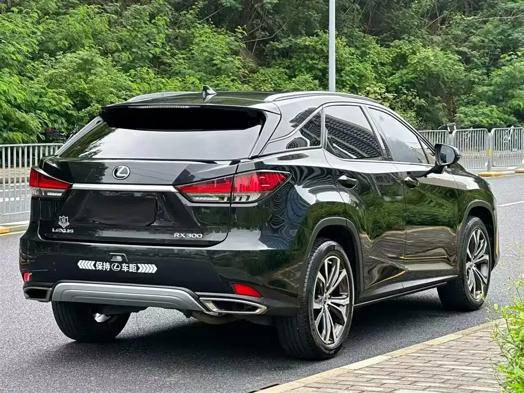Lexus RX — фото 3