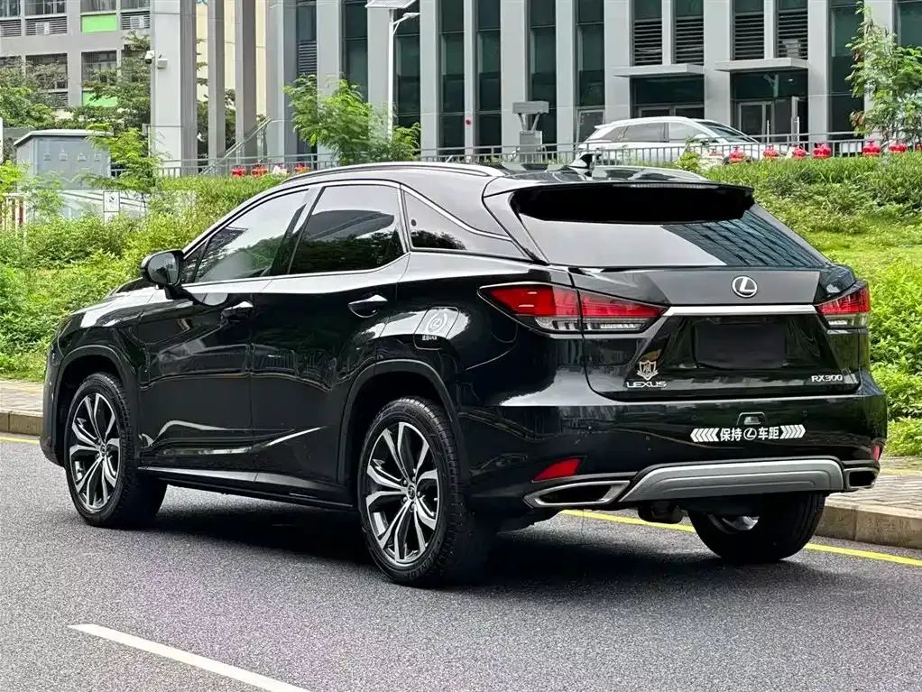 Lexus RX — фото 10