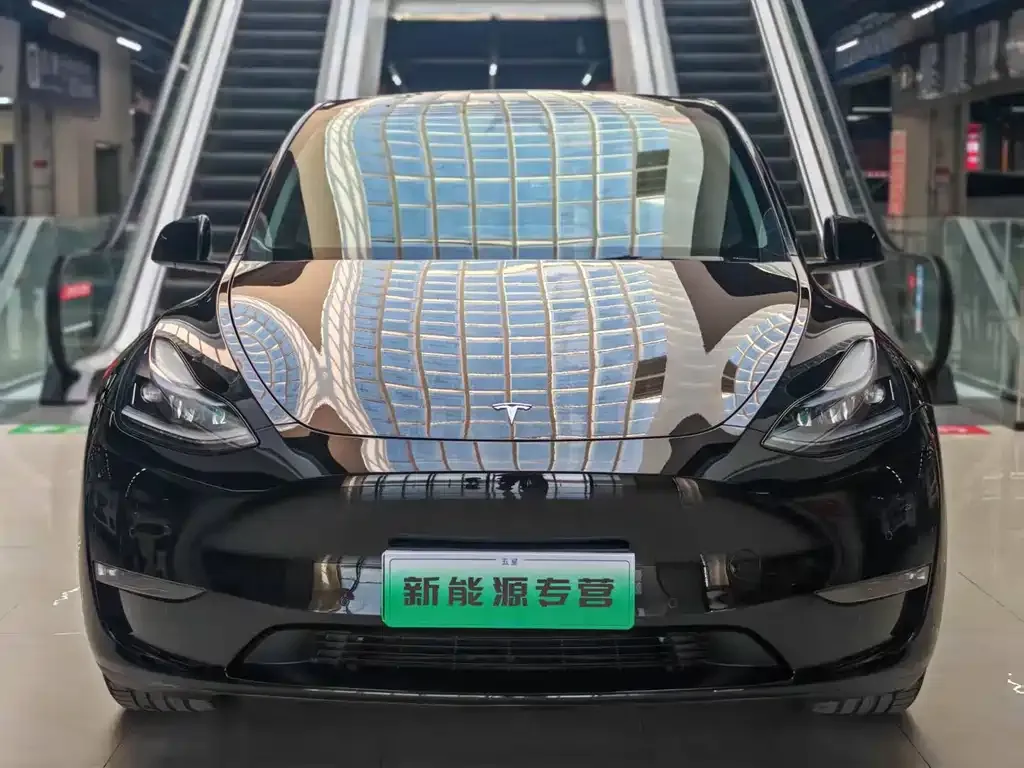 Tesla Model Y — фото 1