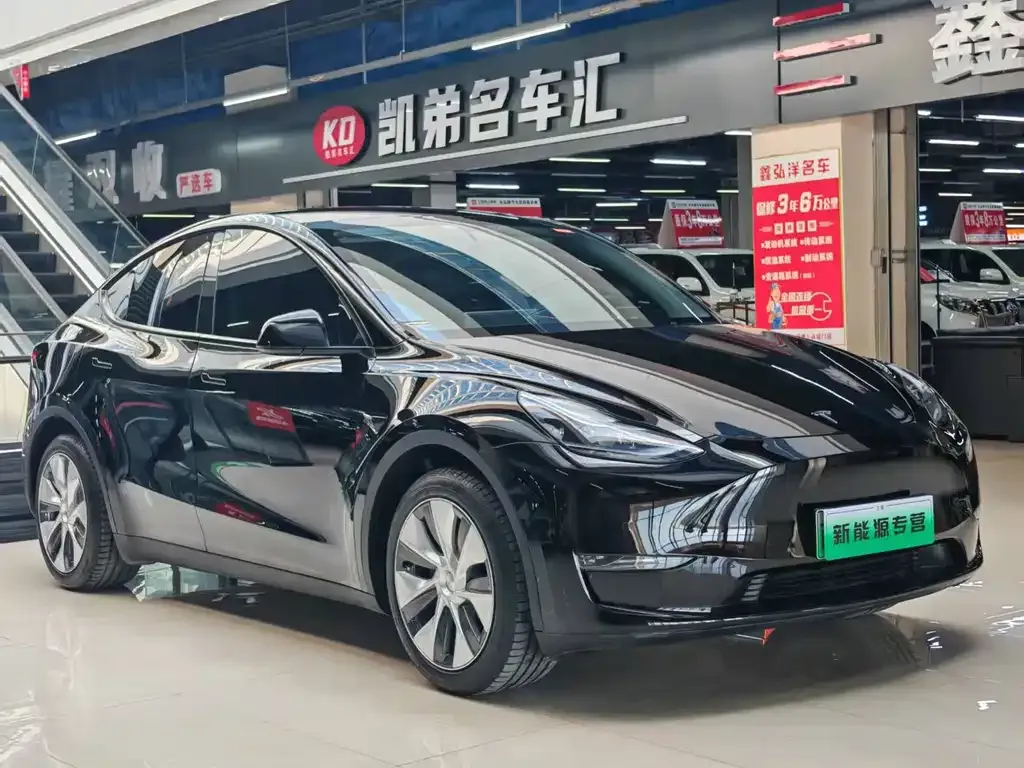 Tesla Model Y — фото 10
