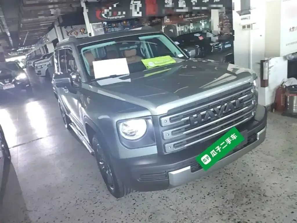 Haval Menglong New Energy 2024 из CN, фото 10