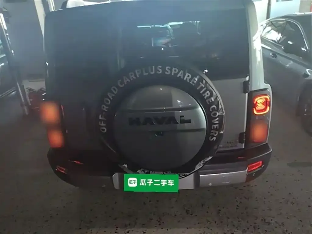 Haval Menglong New Energy 2024 из CN, фото 5