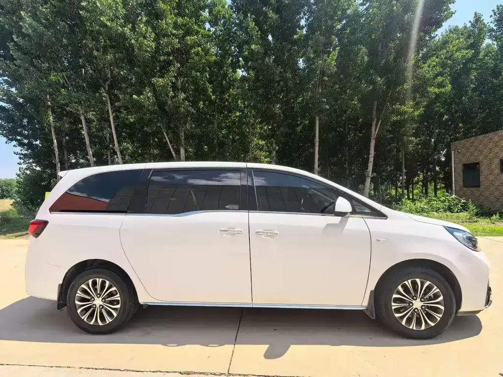 Buick GL8 2023 из CN, фото 6