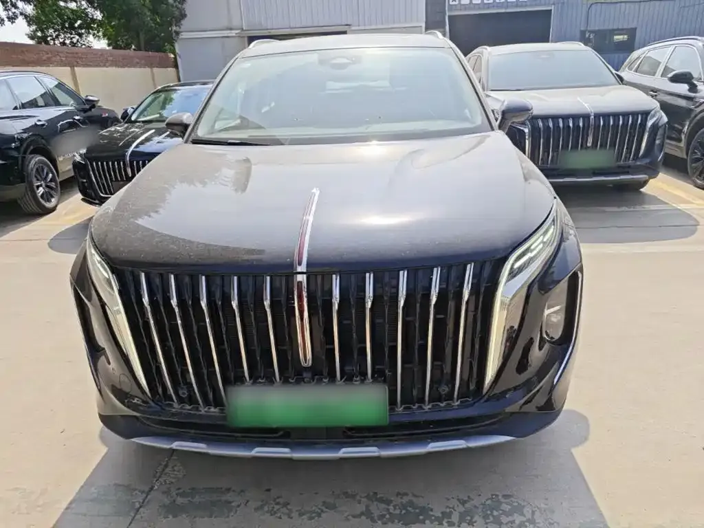 Hongqi HS7 PHEV — фото 8