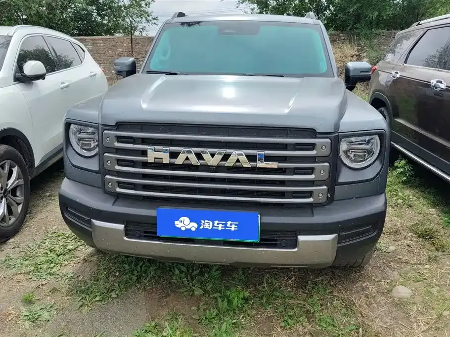 Haval Menglong New Energy 2024 из CN, фото 3