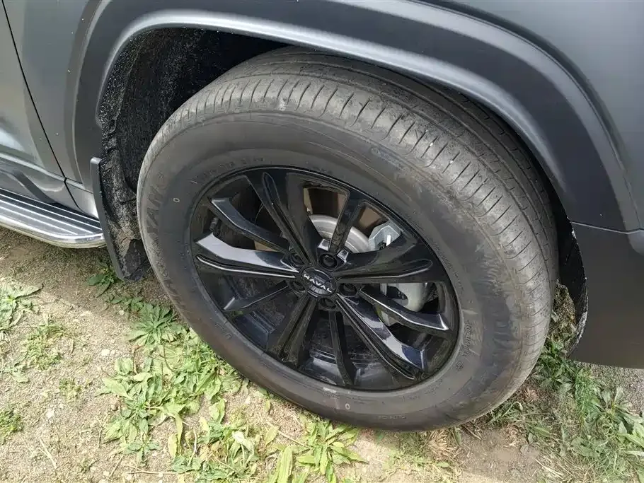 Haval Menglong New Energy 2024 из CN, фото 4
