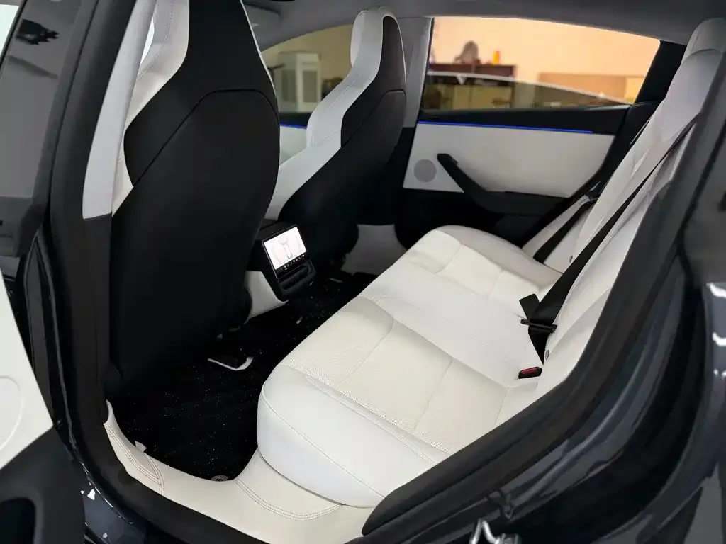 Tesla Model 3 — фото 4