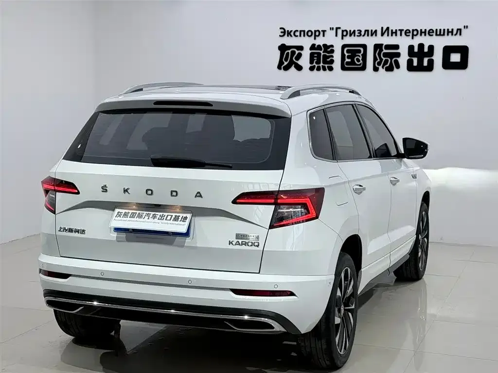 Skoda Karoq — фото 6