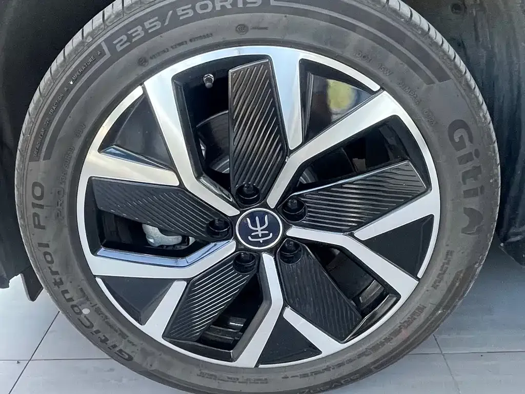 BYD L DM-i — фото 6