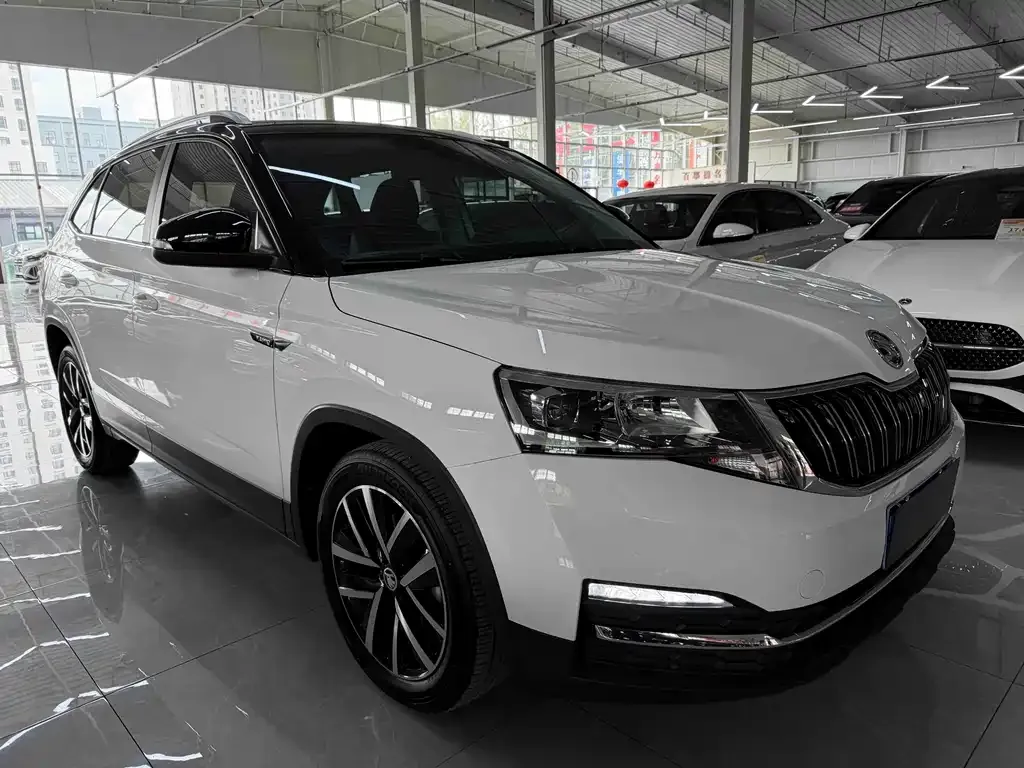 Skoda Kamiq — фото 8