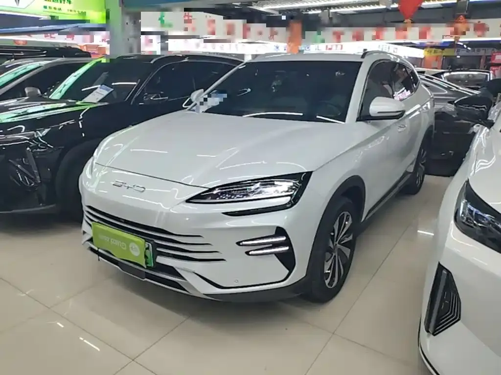 BYD PLUS New Energy — фото 3