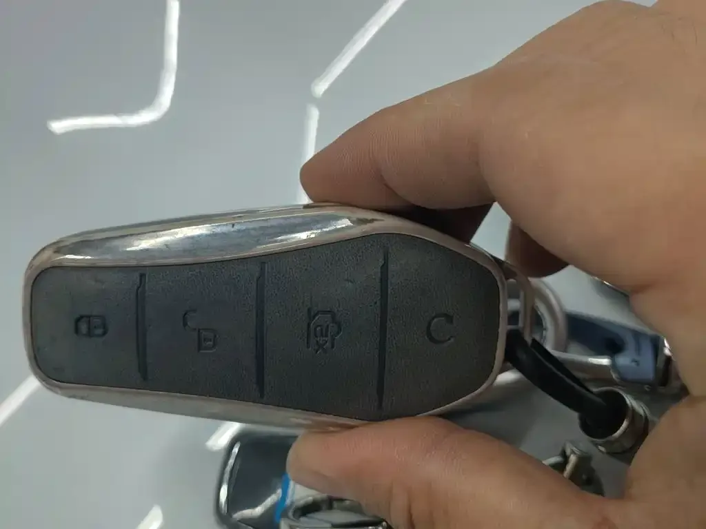 BYD PLUS New Energy — фото 4