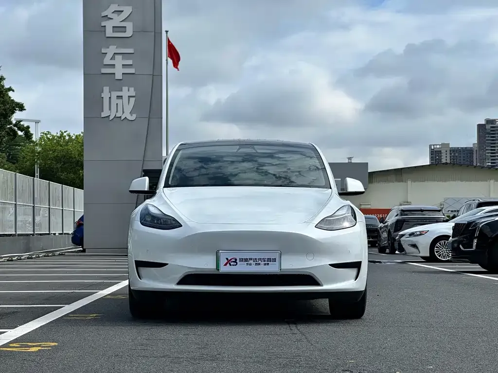 Tesla Model Y — фото 8