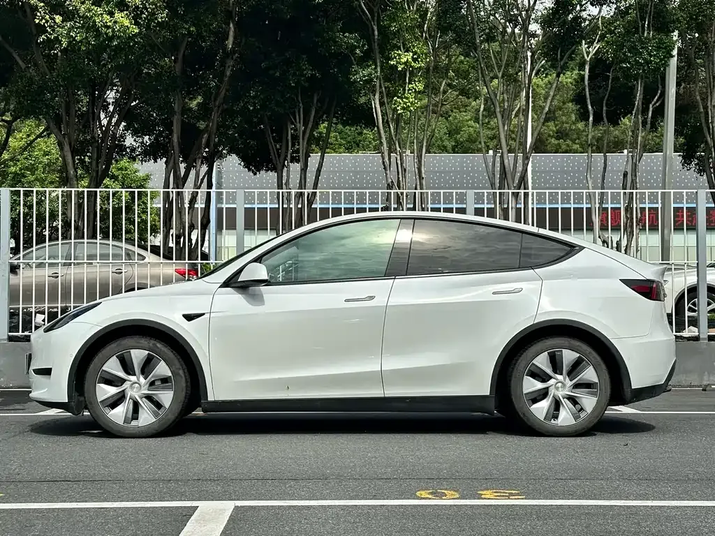 Tesla Model Y — фото 10