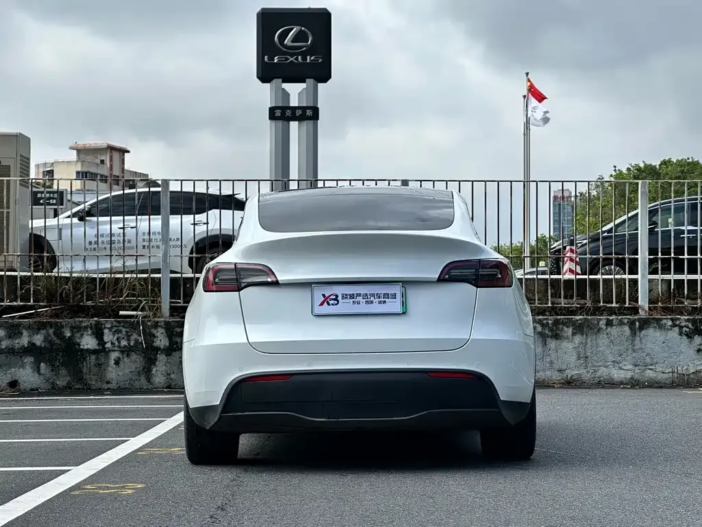Tesla Model Y — фото 9