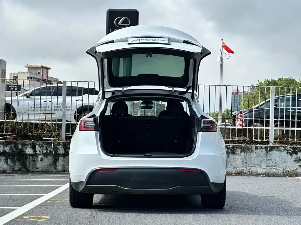 Tesla Model Y — фото 6