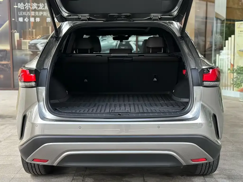 Lexus RX — фото 10