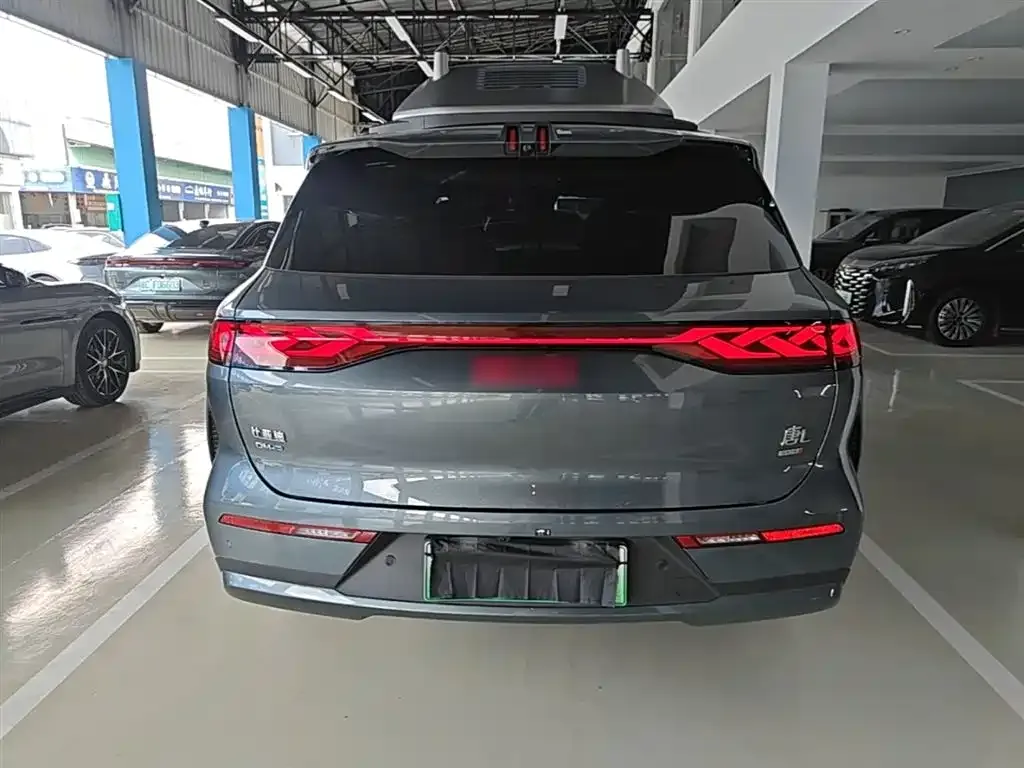 BYD Tang L — фото 4