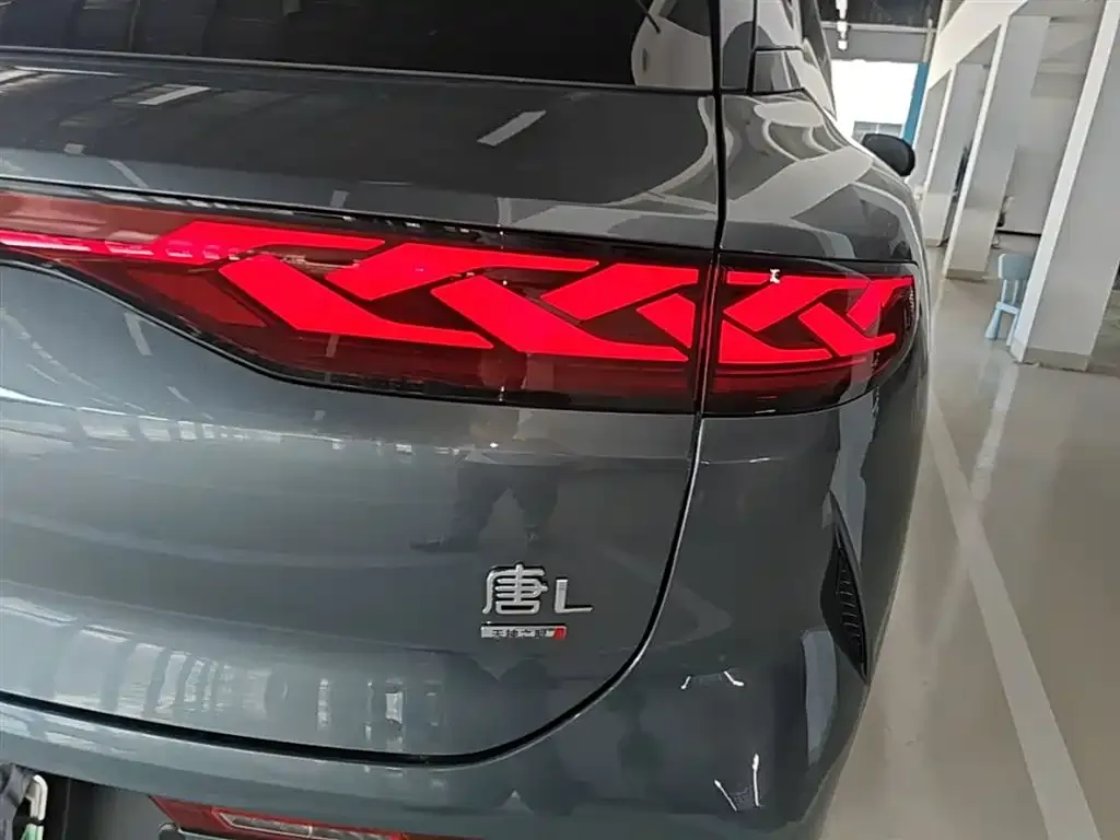 BYD Tang L — фото 2