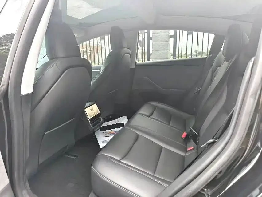 Tesla Model 3 2024 из CN, фото 2
