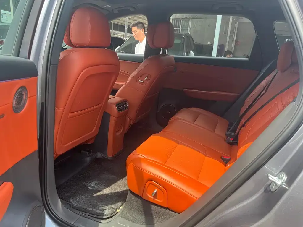 Hongqi HS6 PHEV 2025 из CN, фото 4