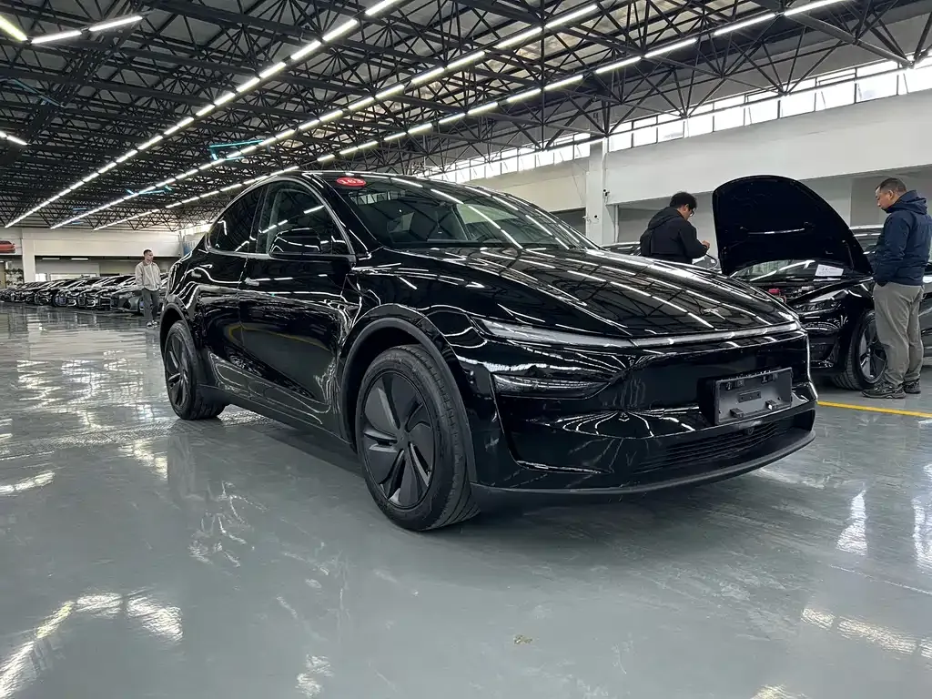Tesla Model Y — фото 9