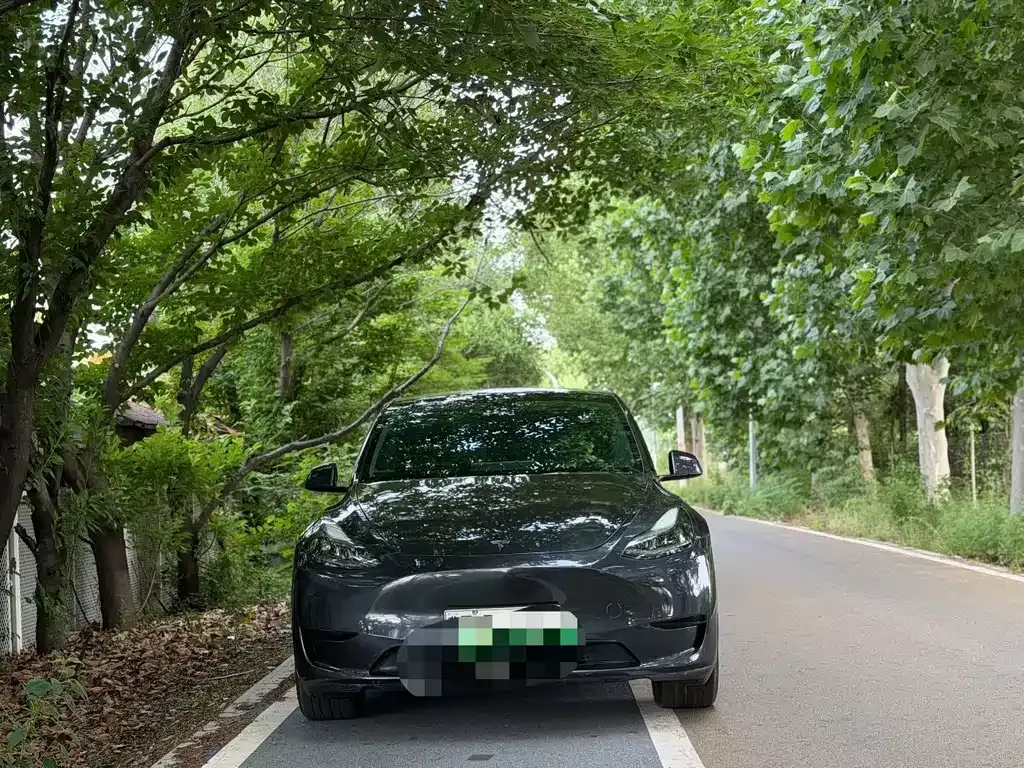 Tesla Model Y — фото 8