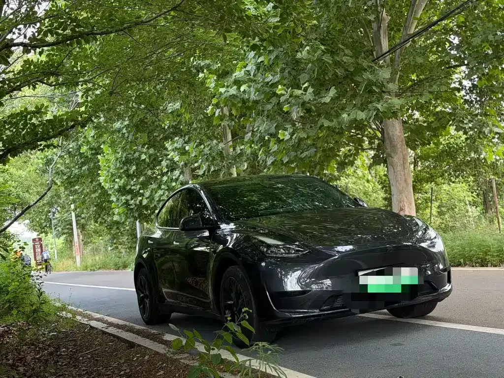 Tesla Model Y — фото 7