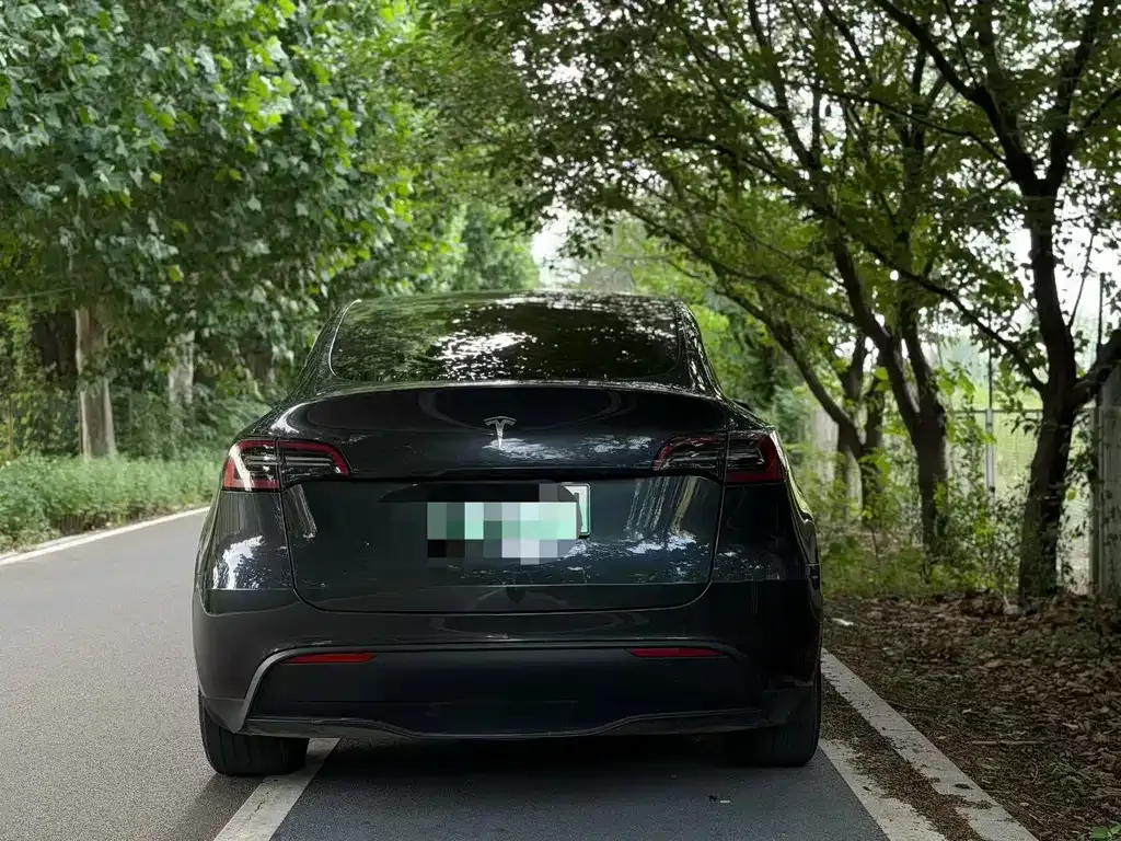 Tesla Model Y — фото 9