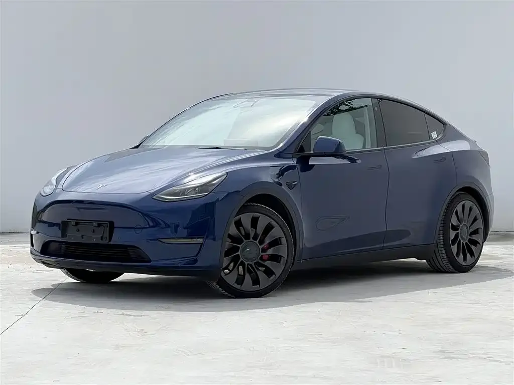 Tesla Model Y — фото 1