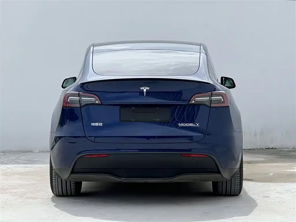 Tesla Model Y — фото 5