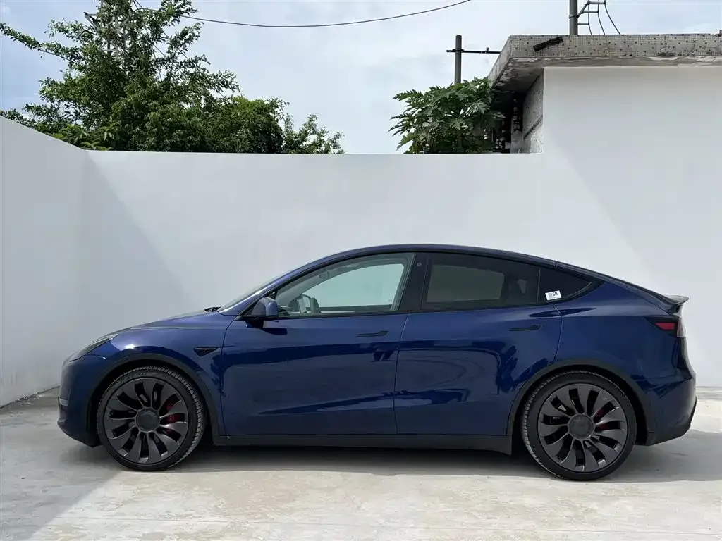 Tesla Model Y — фото 10