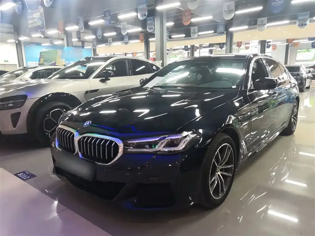 BMW 5 Series New Energy — фото 6
