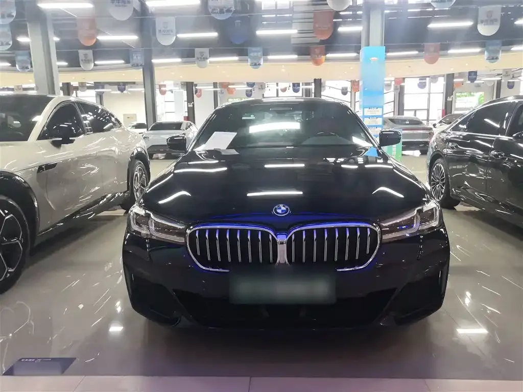 BMW 5 Series New Energy — фото 9