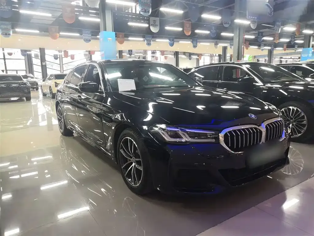 BMW 5 Series New Energy — фото 7