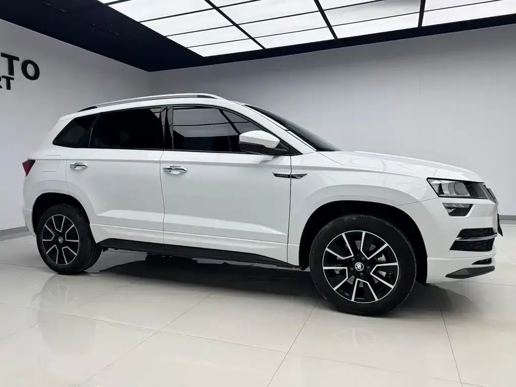 Skoda Karoq — фото 8