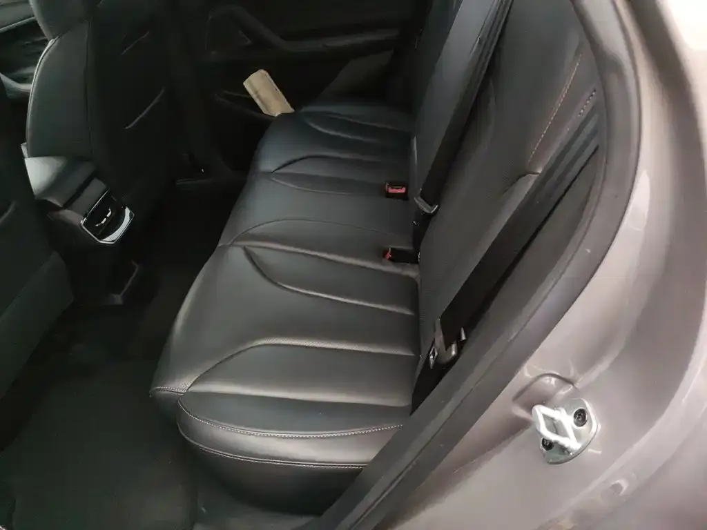 Roewe RX5 New Energy 2023 из CN, фото 3