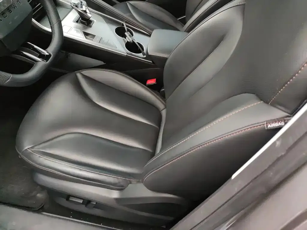 Roewe RX5 New Energy 2023 из CN, фото 6