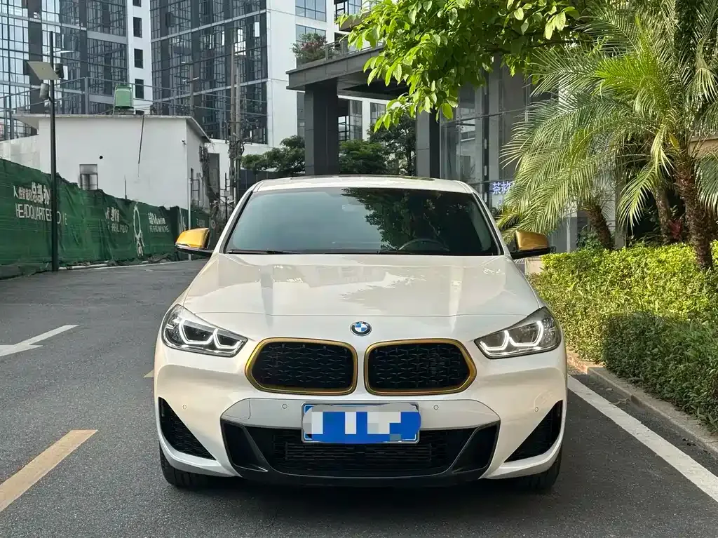 BMW X2 2023 из CN, фото 7