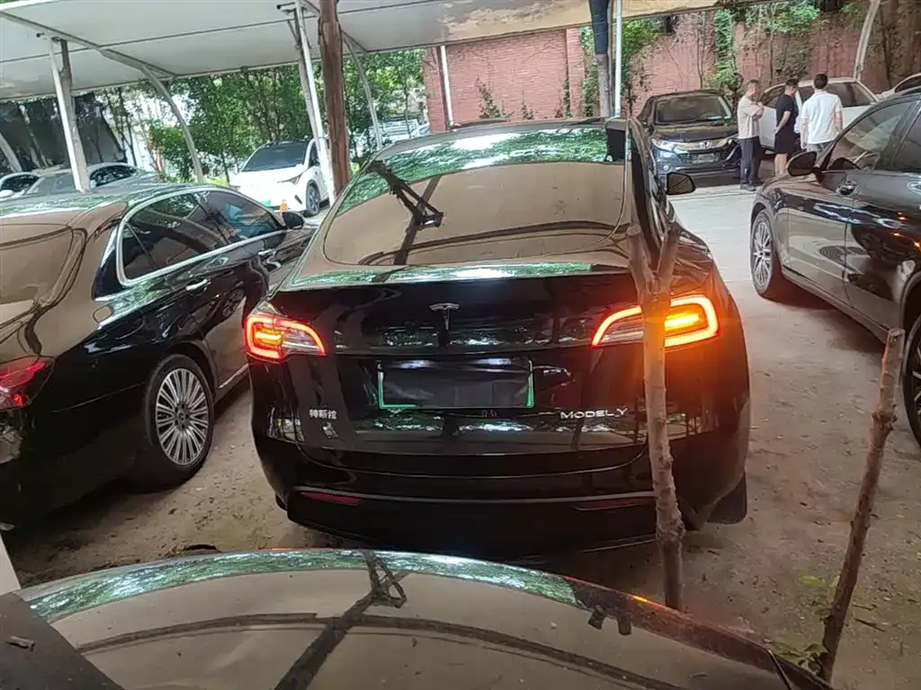 Tesla Model Y — фото 2
