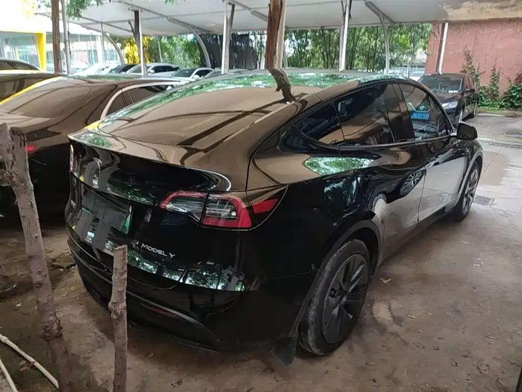 Tesla Model Y — фото 6