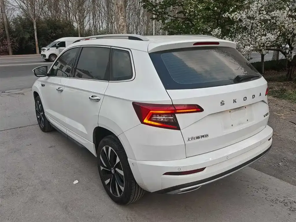 Skoda Karoq — фото 3