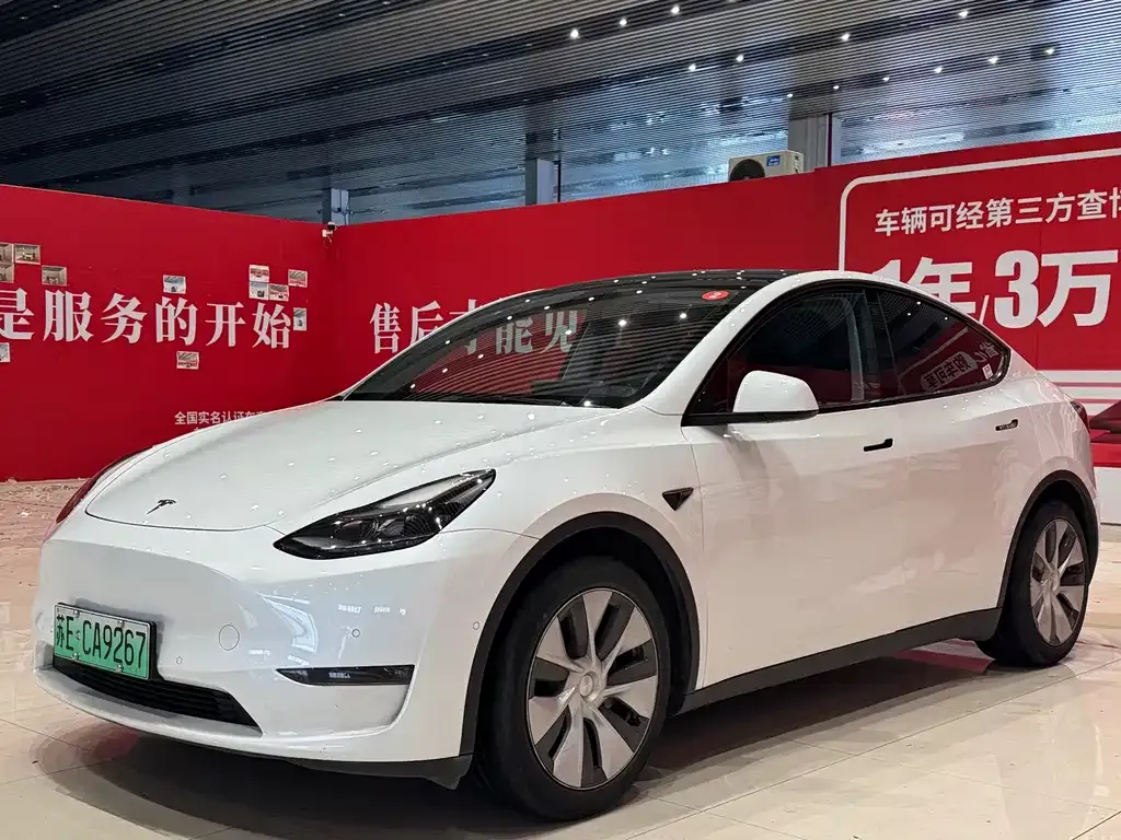 Tesla Model Y — фото 1