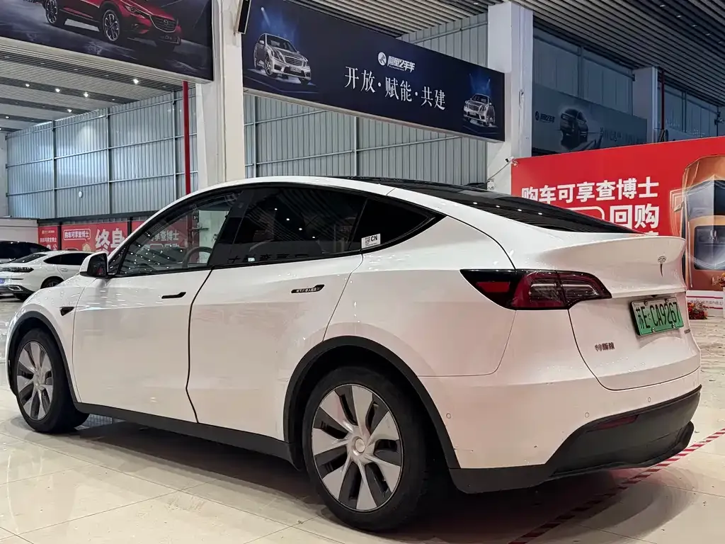 Tesla Model Y — фото 3