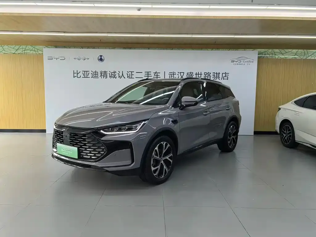 BYD Tang New Energy — фото 1