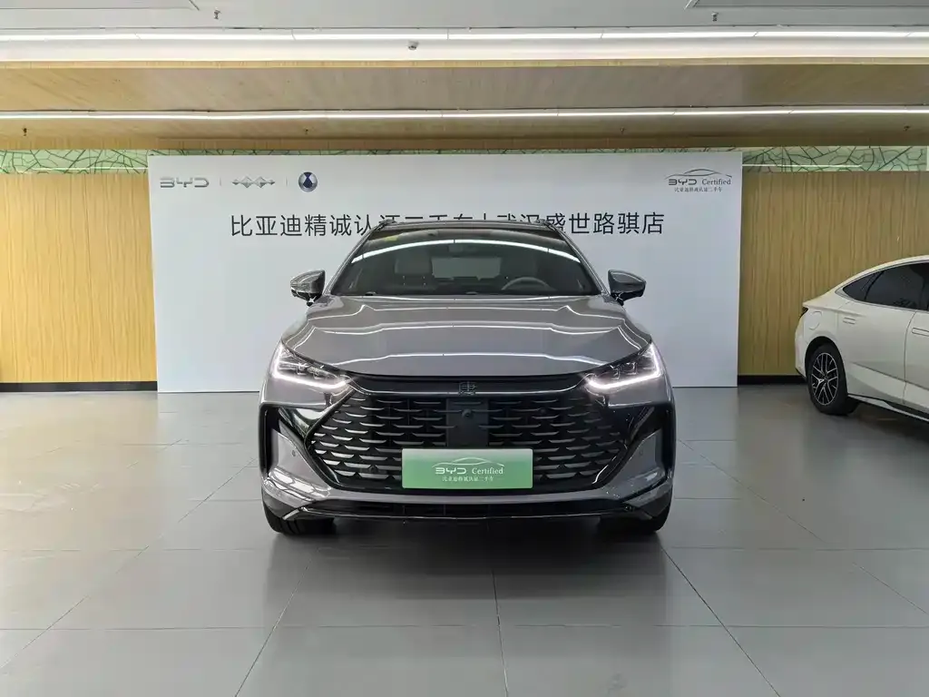 BYD Tang New Energy — фото 5