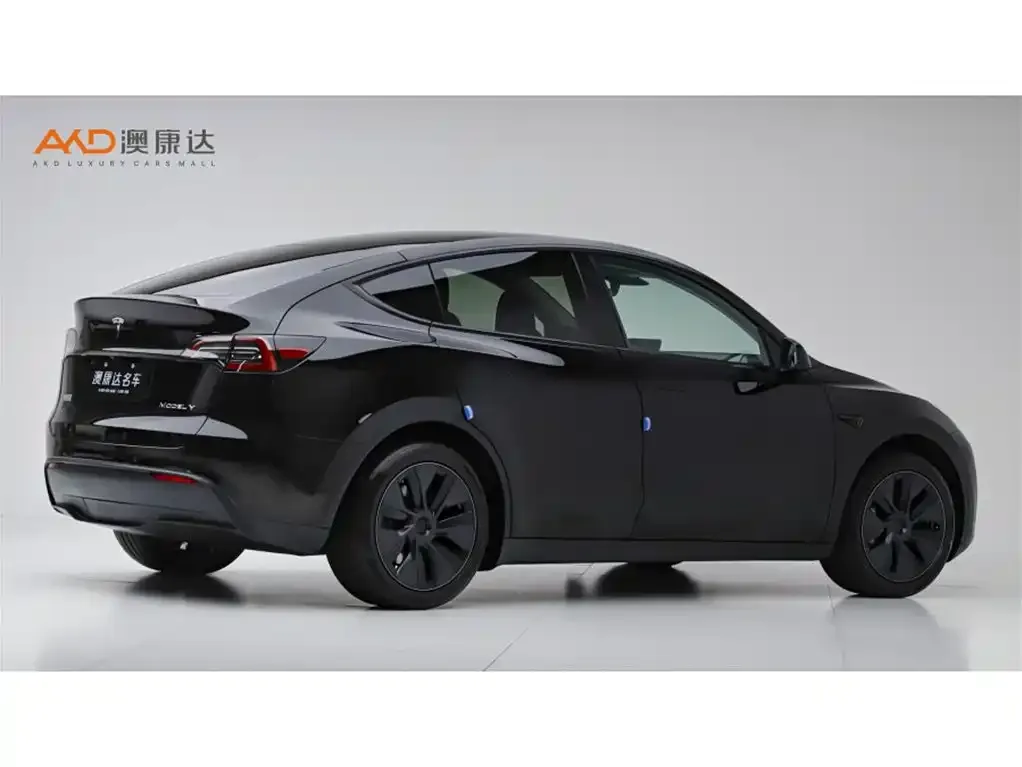 Tesla Model Y — фото 2