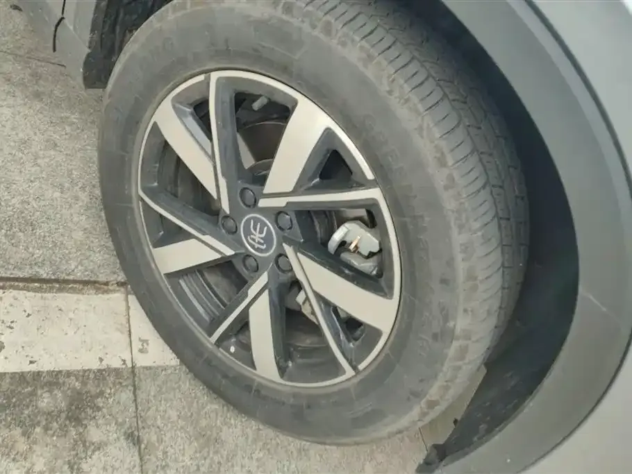 BYD Pro New Energy — фото 6